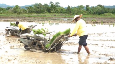 Mendukung Program Strategis Nasional (PSN) Cetak Sawah Rakyat di Kota Jayapura