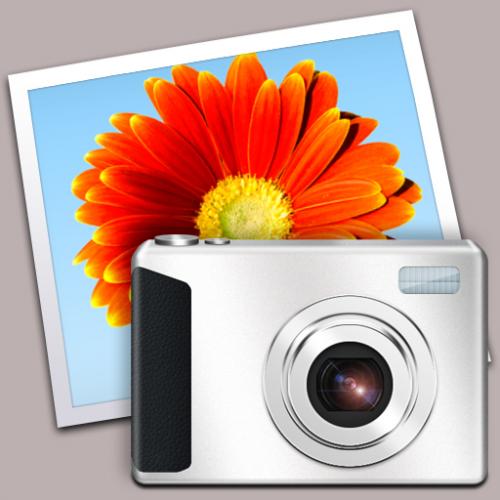 Kegiatan Penyediaan Pelayanan Jasa Medik Veteriner