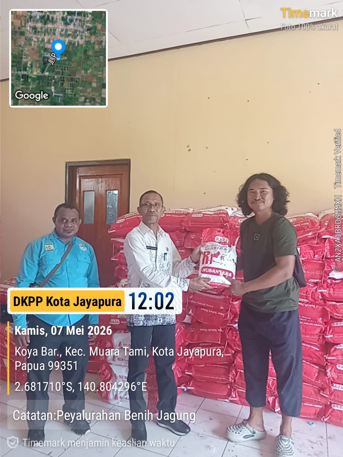 Penyerahan Benih Jagung ke Petani