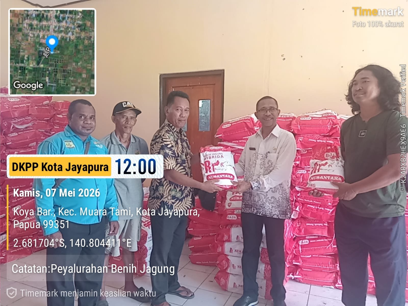 Penyaluran Benih Jagung