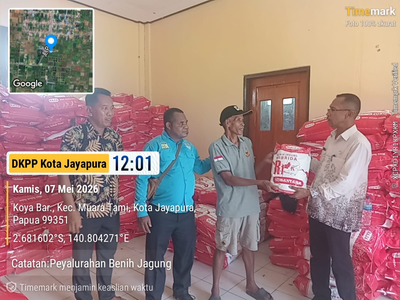 Penyerahan Benih Jagung ke Petani