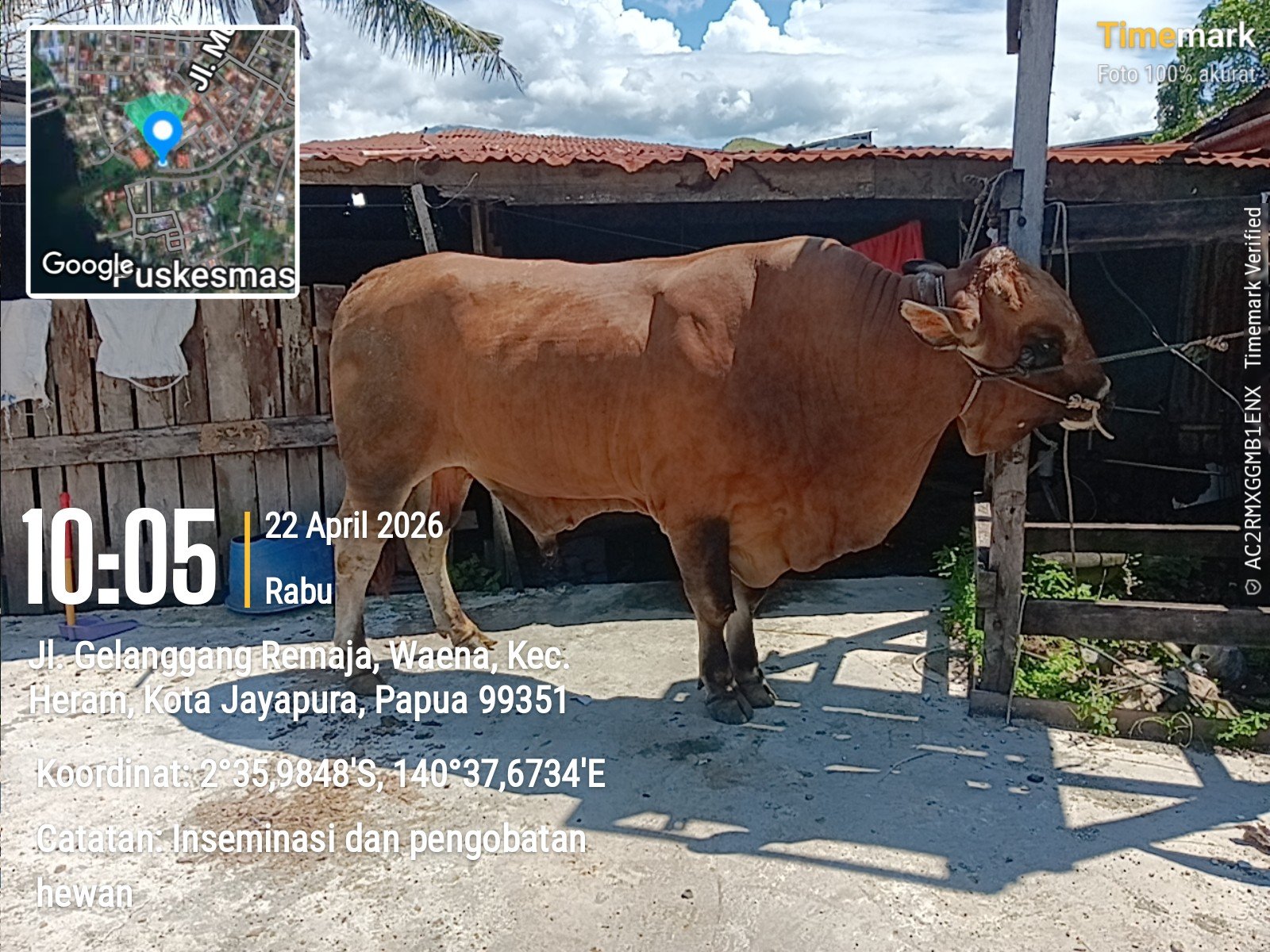 Inseminasi & Pengobatan Hewan